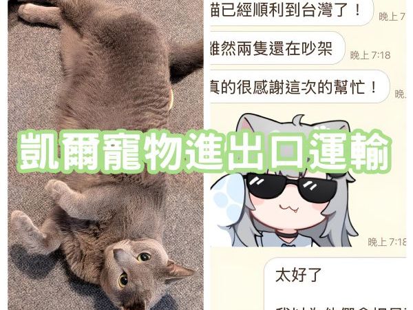 2025/10/23『日本』日本貓咪移民台灣~~~~